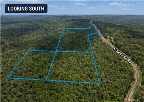 Land in Heflin 3