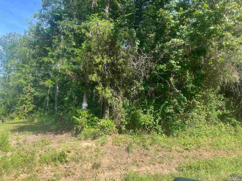 TBD Cr 337, Marshall, TX, 75672 | Card Image
