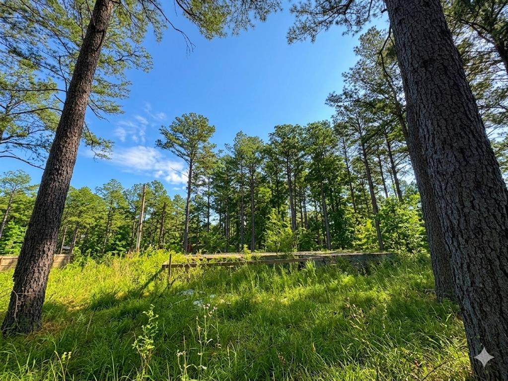 Land in Broken Bow 2