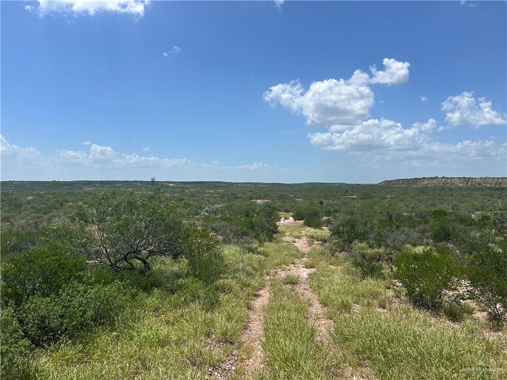 Land in Zapata 5