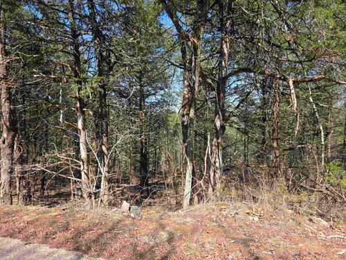 L12 B1 Hernando Drive, Cherokee Village, AR, 72529 | Card Image