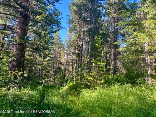 190 Wolverine Way, Tetonia, ID, 83452 | Card Image