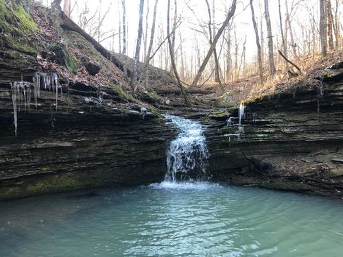 17952 S Highway 170, West Fork, AR, 72774-9609 | Card Image