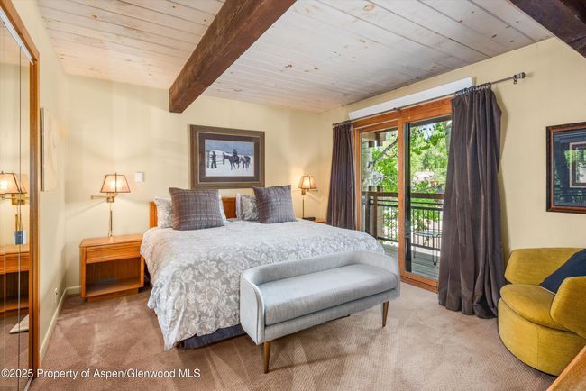 202 - 131 E Durant Ave, Condo with 2 bedrooms, 2 bathrooms and null parking in Aspen CO | Image 7