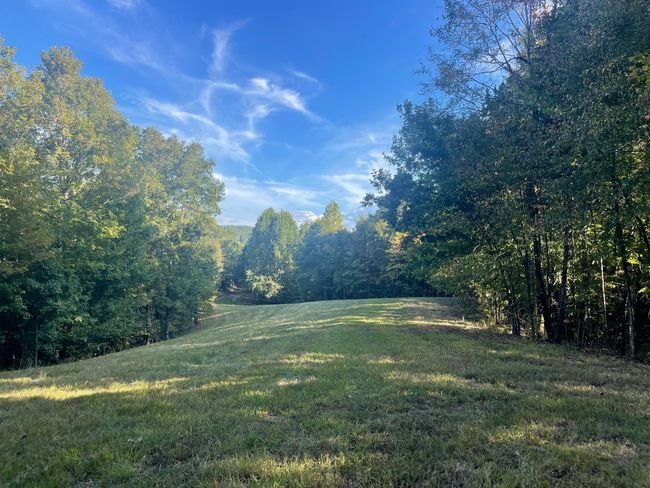450 County Road 28, House other with 4 bedrooms, 3 bathrooms and null parking in Calhoun TN | Image 122