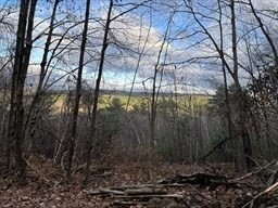 Land in Warren 3