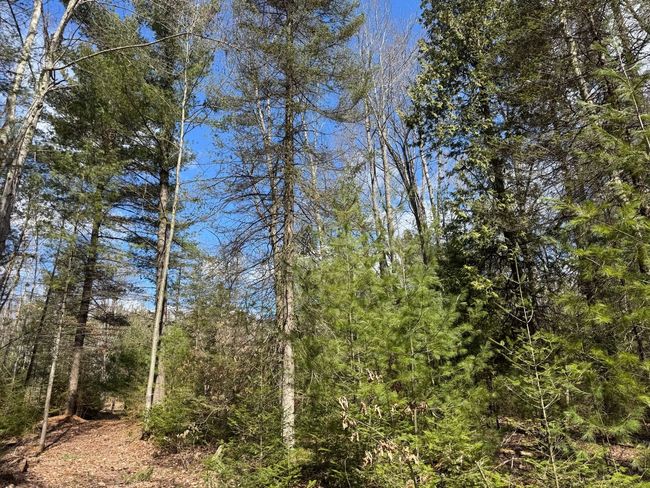 4233 Hardacre Trl, Home with 0 bedrooms, 0 bathrooms and null parking in Houghton Lake MI | Image 27