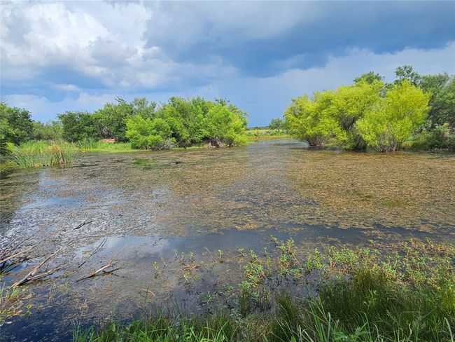 Water view | Image 10