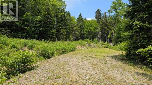 15 Foley Lane, Summerville, NB, E5S1B9 | Card Image