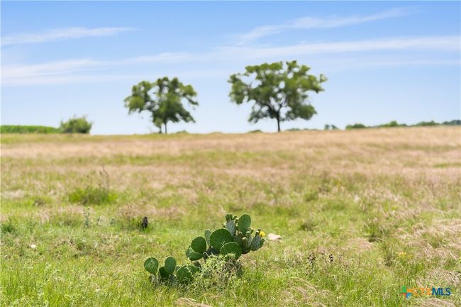 16160 Siler Rd, Home with 0 bedrooms, 1 bathrooms and null parking in Moody TX | Image 35