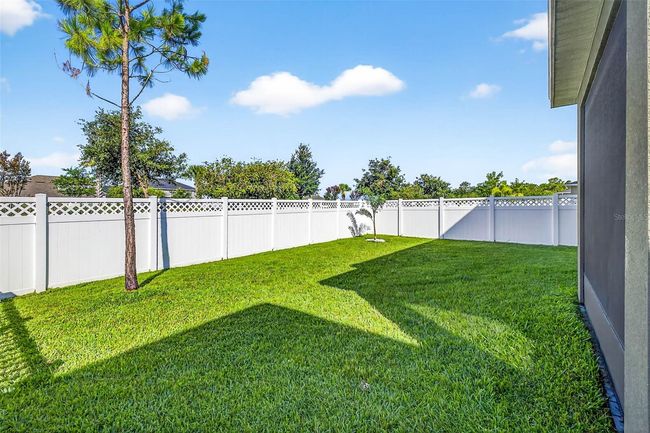 Outdoor area | Image 32