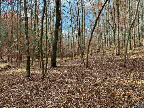 1 County Road 137, Cedar Bluff, AL, 35959 | Card Image