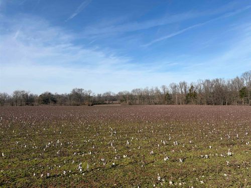 353 Cotton Grove Rd, Jackson, TN, 38305 | Card Image