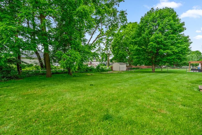 WM2675barkwood-26 | Image 26