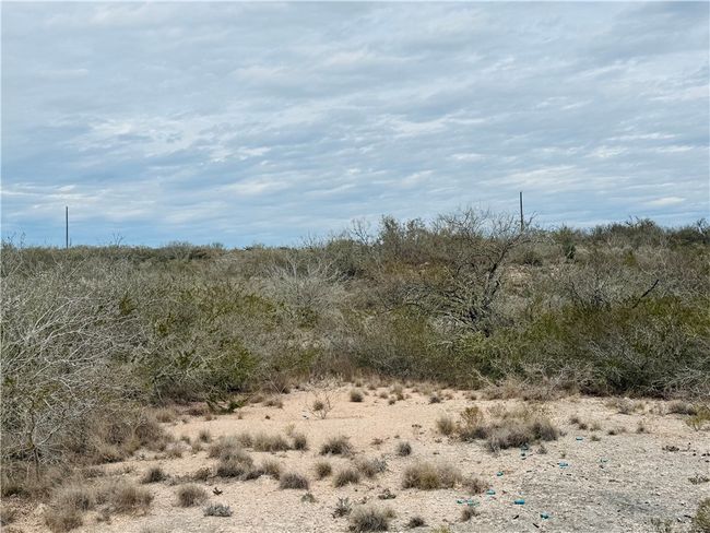 9156 Tx 339, Home with 0 bedrooms, 0 bathrooms and null parking in Freer TX | Image 27