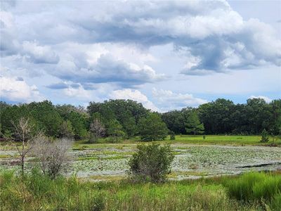 Se 141 St Avenue, Home with 0 bedrooms, 0 bathrooms and null parking in Ocklawaha FL | Image 2