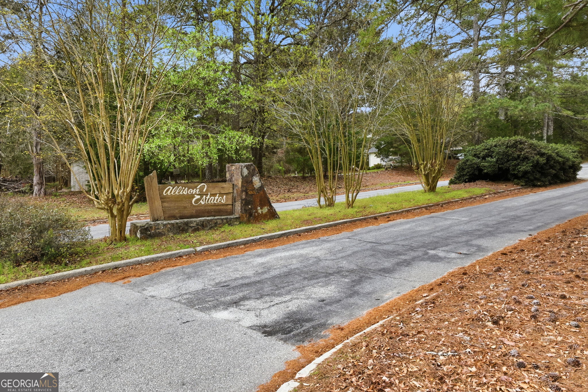 Land in Conyers 5