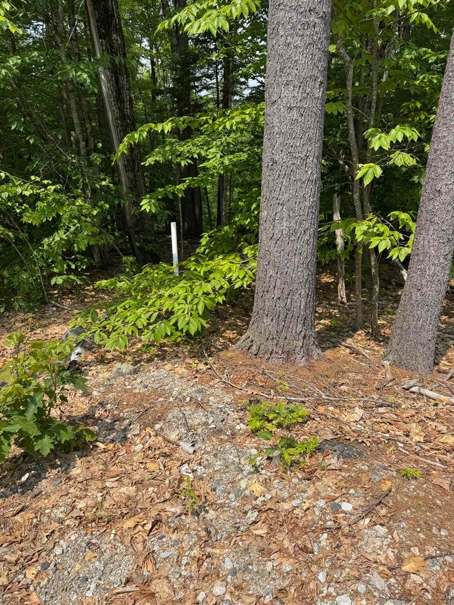 15 Circuit Rd, Home with 0 bedrooms, 0 bathrooms and null parking in Ossipee NH | Image 8