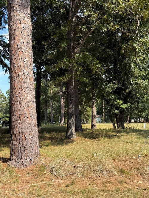 0 Peach Point Dr, Trinity, TX, 75862 | Card Image