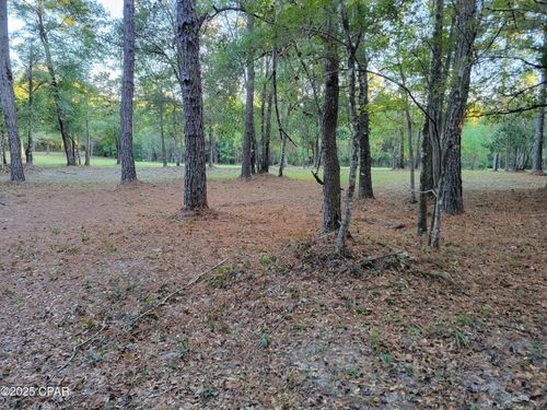 0000 Hardwood Ln, Ponce De Leon, FL, 32455 | Card Image