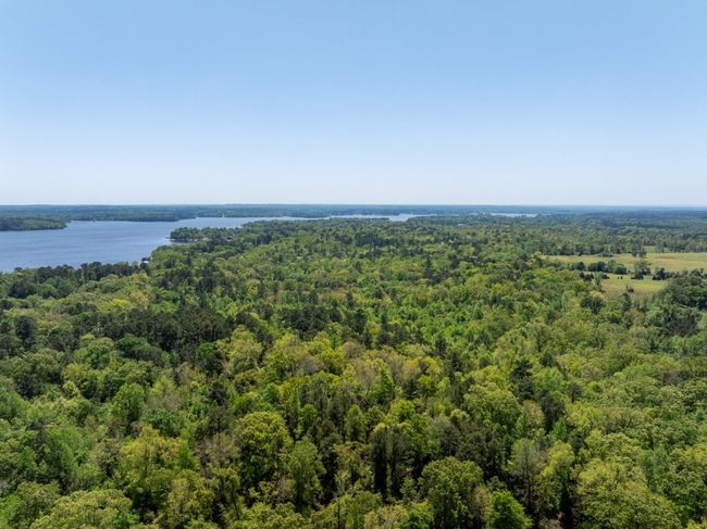 Drone / aerial view with a water view and a wooded view | Image 6