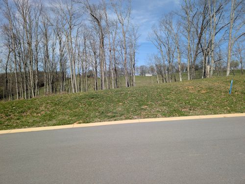 lot 245 Ridgelawn Ave, Morristown, TN, 37814-5479 | Card Image