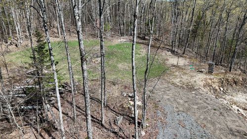 1199 Cedar Lake Rd, Wilberforce, ON, K0L3C0 | Card Image