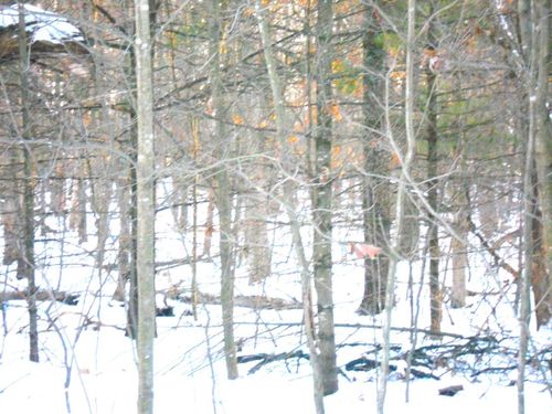 1.34 AC Czech Drive, Preston, WI, 53934 | Card Image