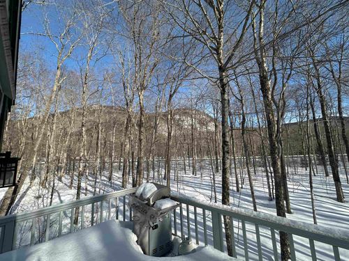 91 Burke Rd, Harts Location, NH, 03812-4101 | Card Image