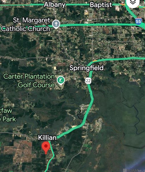 18943 Austin St, Springfield, LA, 70462-7017 | Card Image