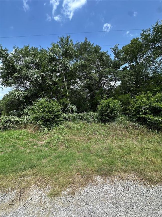 000000 Overlook Rd, Home with 0 bedrooms, 0 bathrooms and null parking in Caldwell TX | Image 10