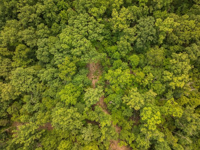 DJI_20250710123134_0155_D | Image 29