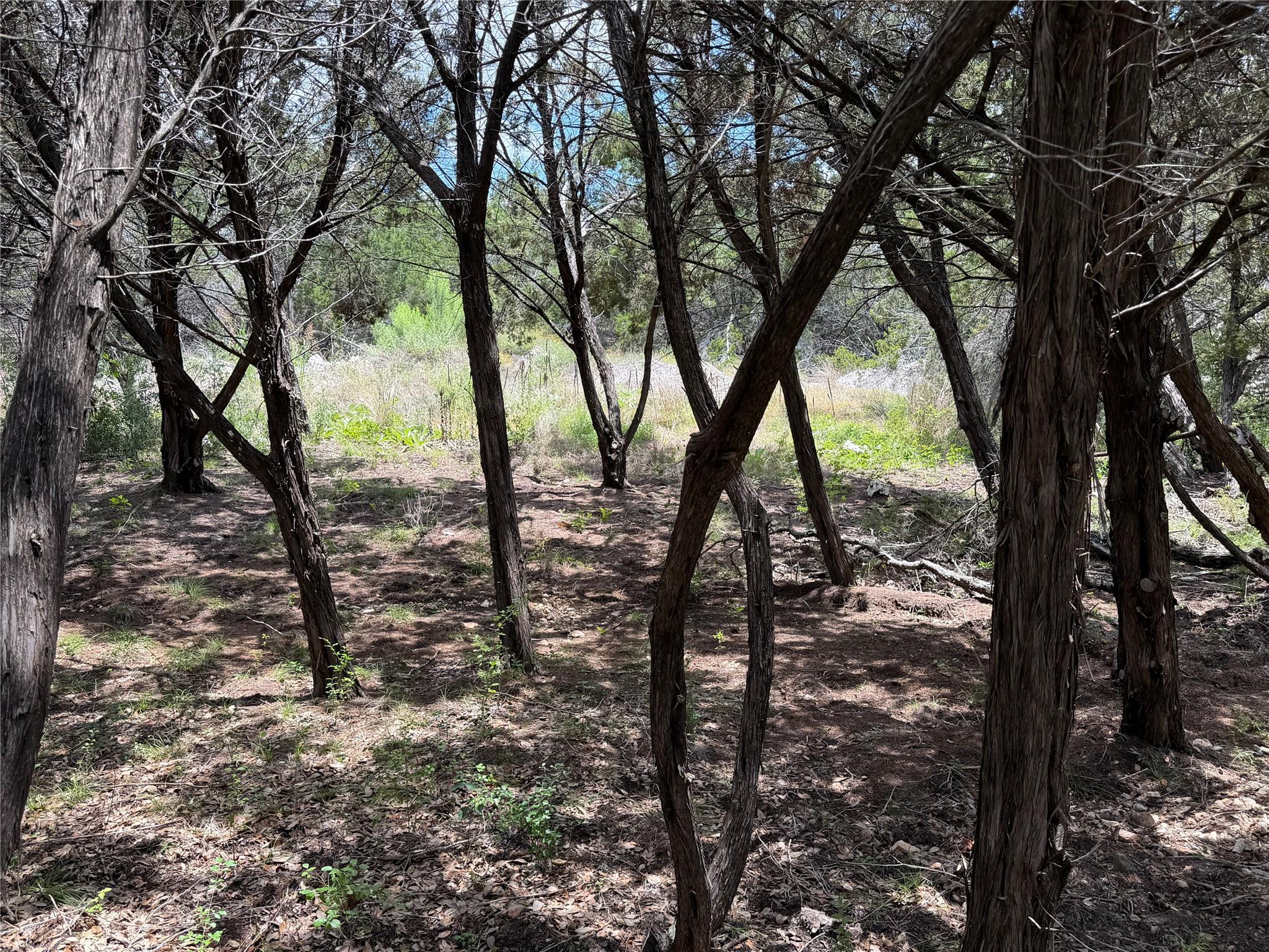 Land in Lago Vista 3