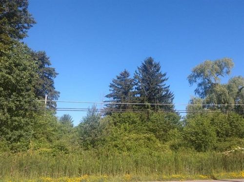 Lot 11 Rt. 618, Conneaut Lake, PA, 16316 | Card Image
