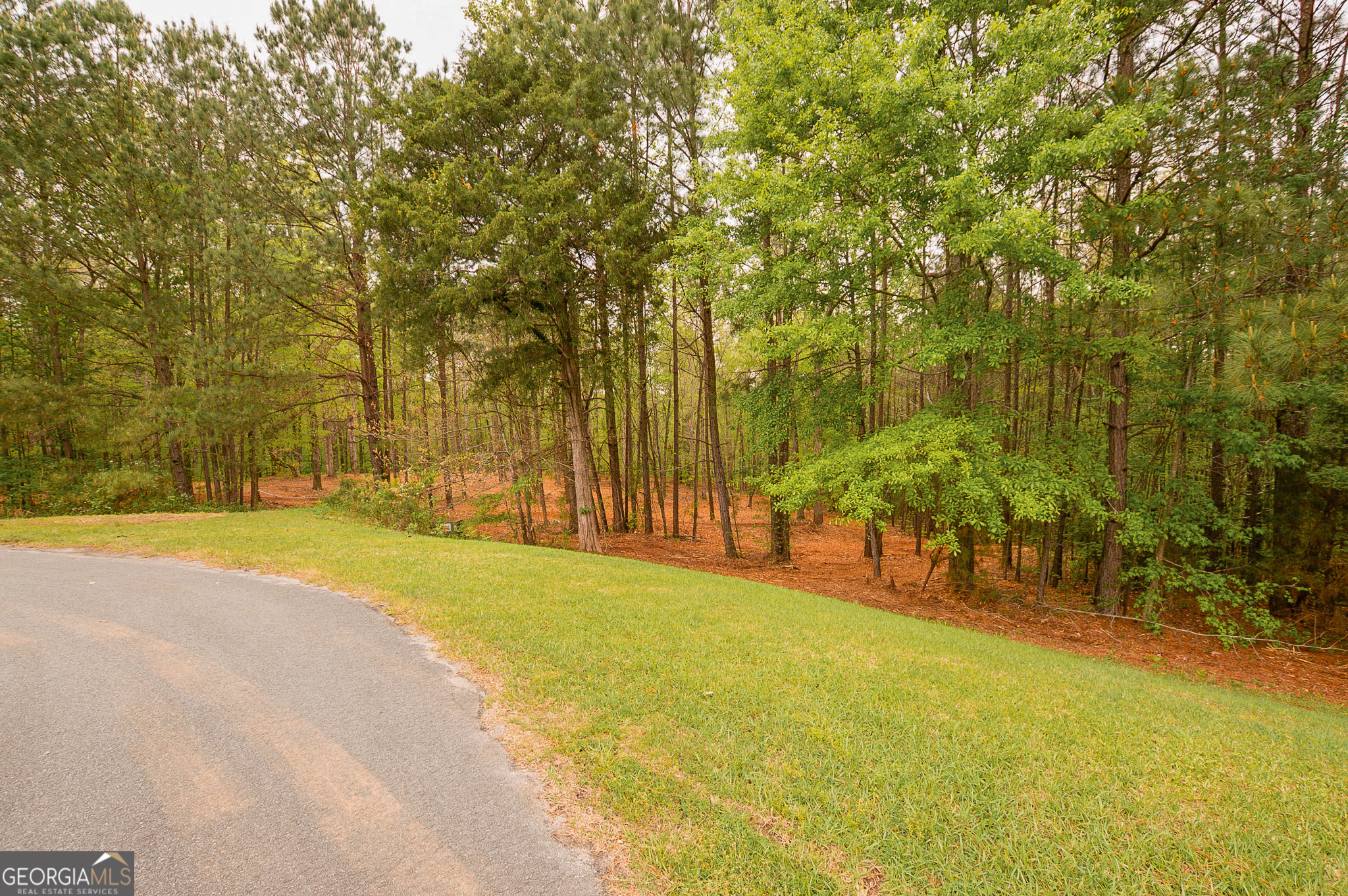 Land in Forsyth 3