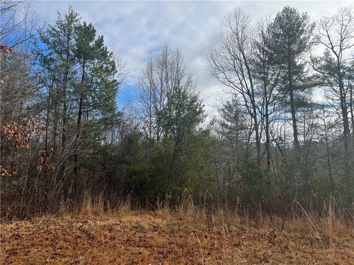 00 Davidian Way, Tamassee, SC, 29686 | Card Image