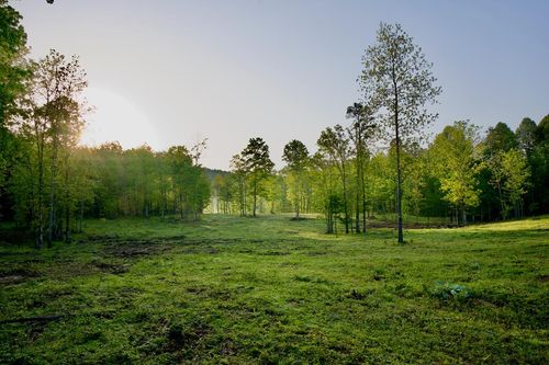 40.46AC Barker Cove Loop, Palmer, TN, 37365 | Card Image