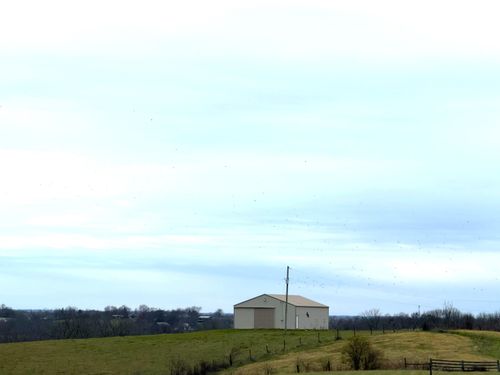 Tract 17 Waits Rd, Cynthiana, KY, 41031-7534 | Card Image