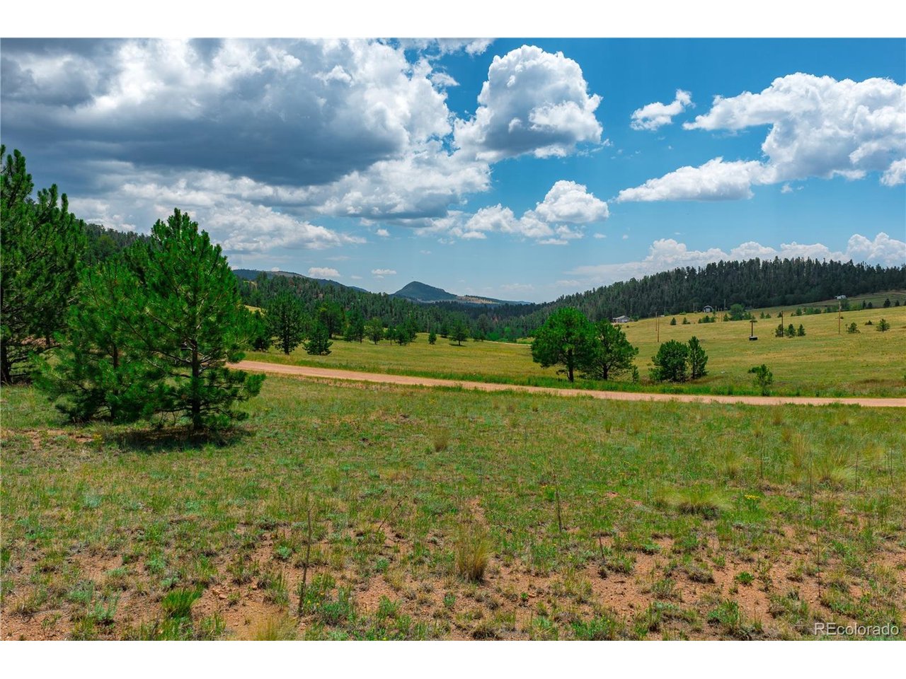 Land in Cripple Creek 4