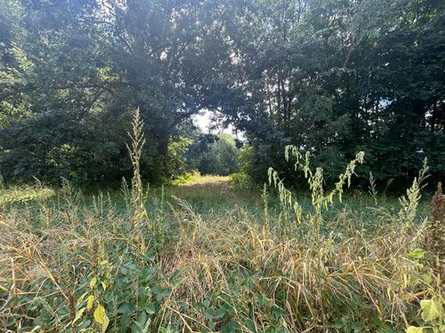 0 V/L M-66, Athens, MI, 49011 | Card Image