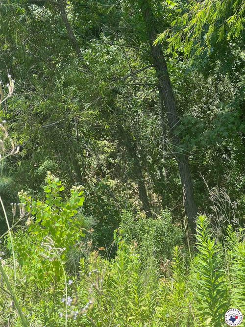 hawkins Hawkins, Texarkana, TX, 75503 | Card Image