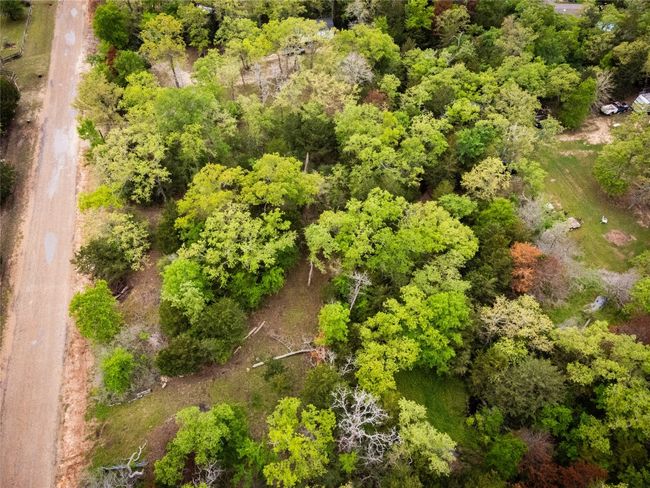 Aerial view | Image 5