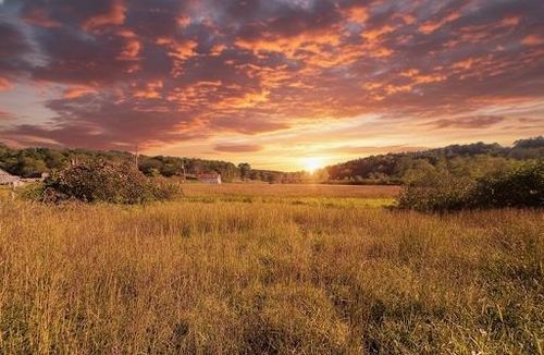 TBD Mira Fork Rd Nw, Willis, VA, 24380 | Card Image