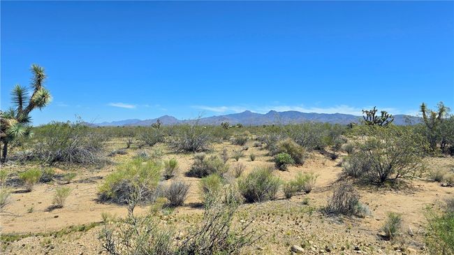 View | Image 43