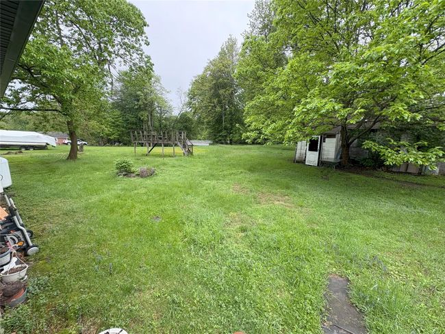 View of green lawn | Image 11