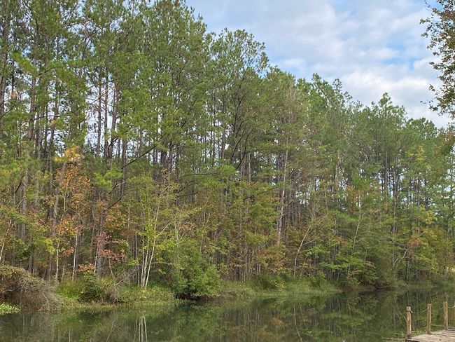 00 Rock Ranch Rd, Home with 0 bedrooms, 0 bathrooms and null parking in Picayune MS | Image 5