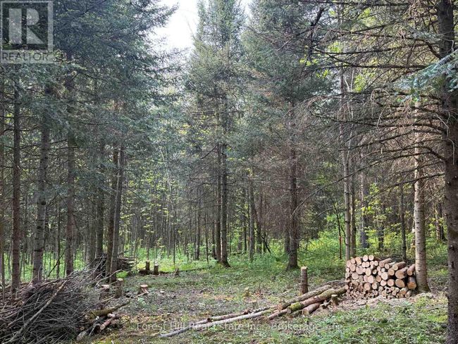 27 Old Nipissing Road N Road, Home with 0 bedrooms, 0 bathrooms and null parking in Parry Sound Remote Area (Pringle) ON | Image 14