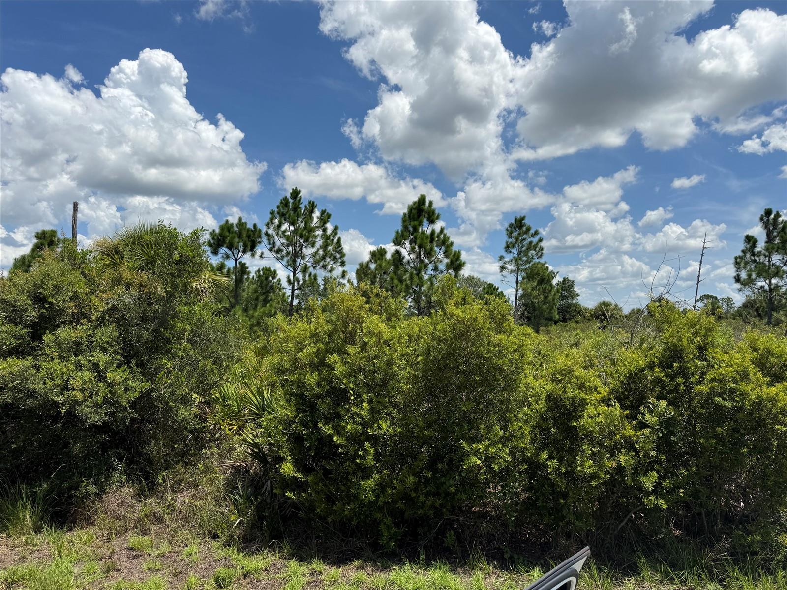 Land in PORT CHARLOTTE 5