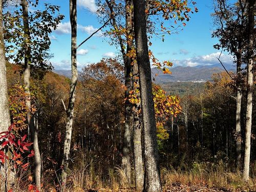 Lot 118 Winding Rdg, Blairsville, GA, 30512 | Card Image