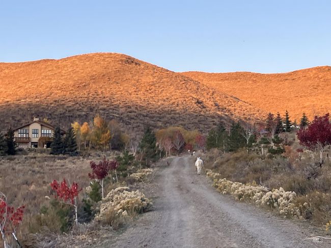 1262 N Soldier Creek Rd, House other with 3 bedrooms, 3 bathrooms and 5 parking in Fairfield ID | Image 7